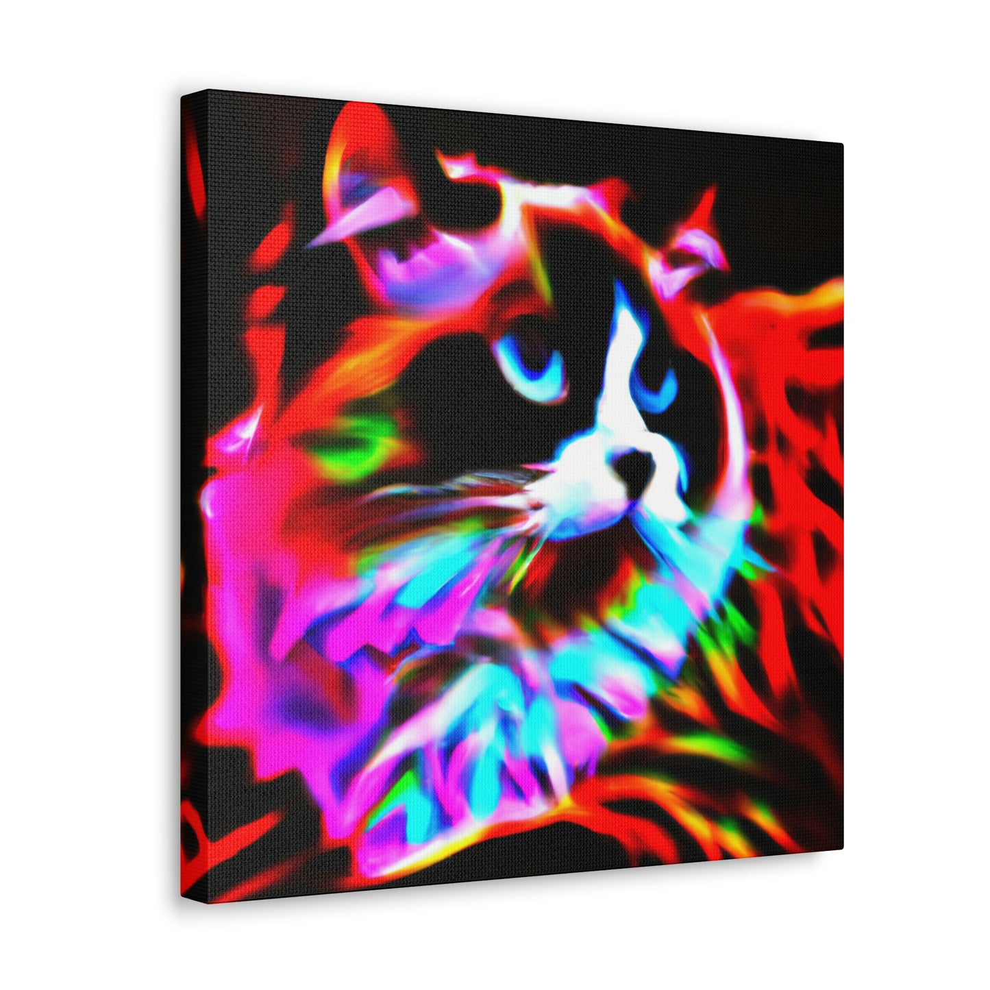 Ragdoll Pop Magic - Canvas