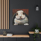 Rabbit in Realism - Canvas