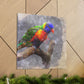 Rainbow Lorikeet Points - Canvas