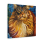 Maine Coon Majesty - Canvas