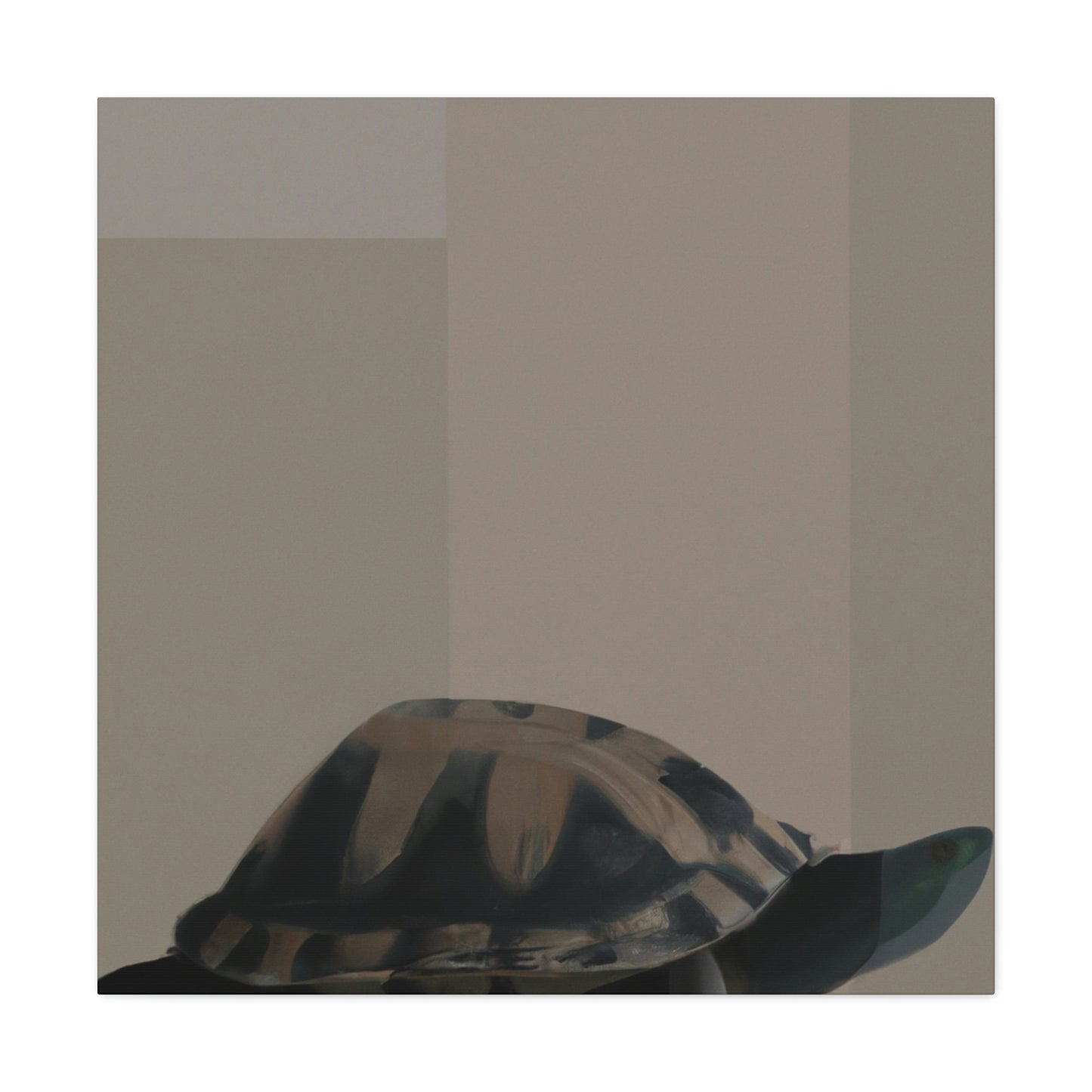 "Box Turtle Reflection" - Canvas