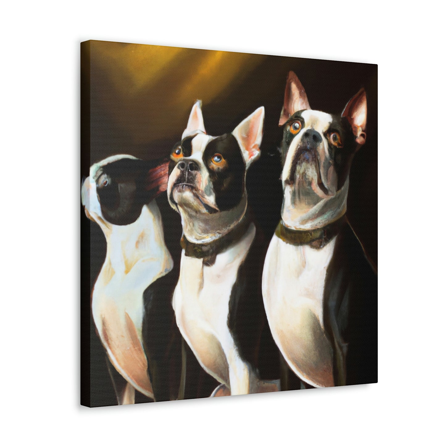 "Boston Terrier Elegance". - Canvas