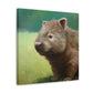 "Wombat in Landscape" - Canvas