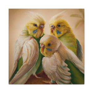 Budgies in Renaissance - Canvas