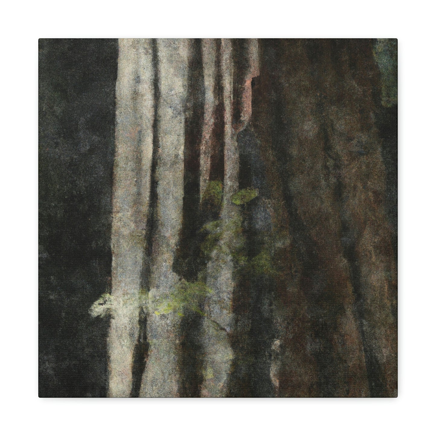 Redwood in Reflection - Canvas