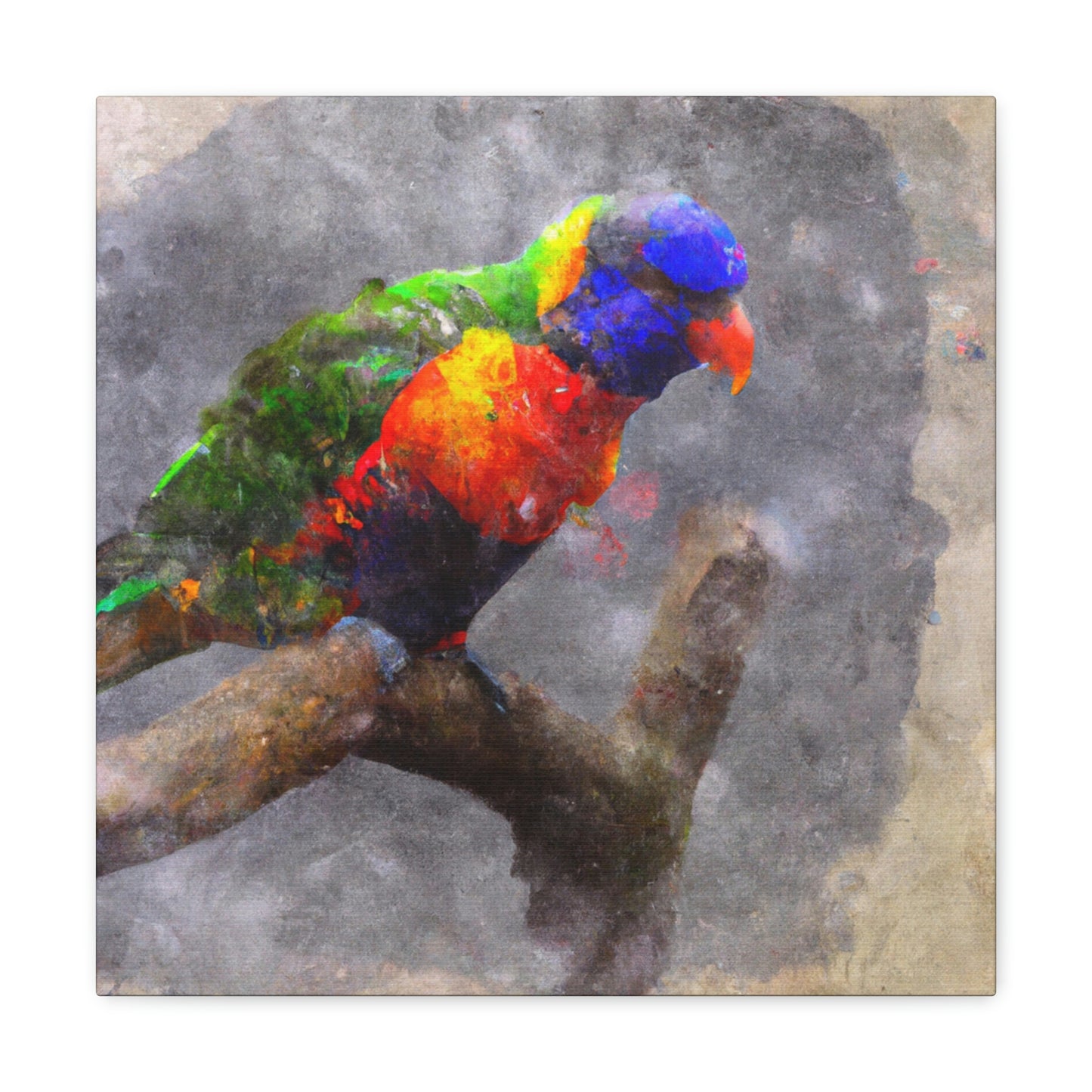 Rainbow Lorikeet Points - Canvas