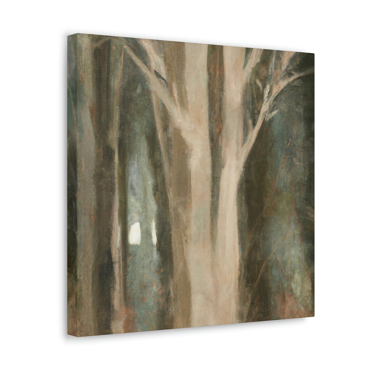 Beech Tree Illumination - Canvas