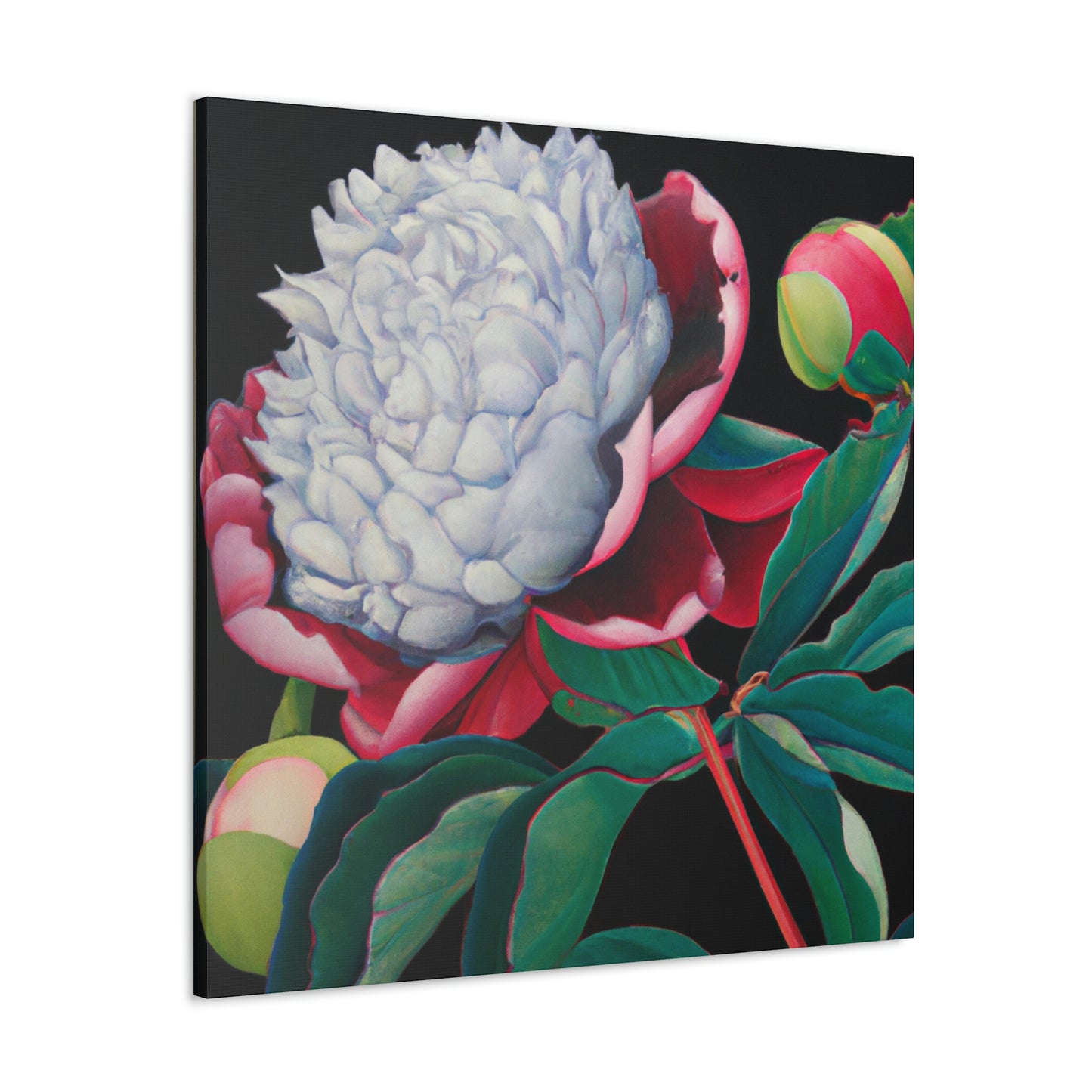 "Flamboyant Peony Bloom" - Canvas