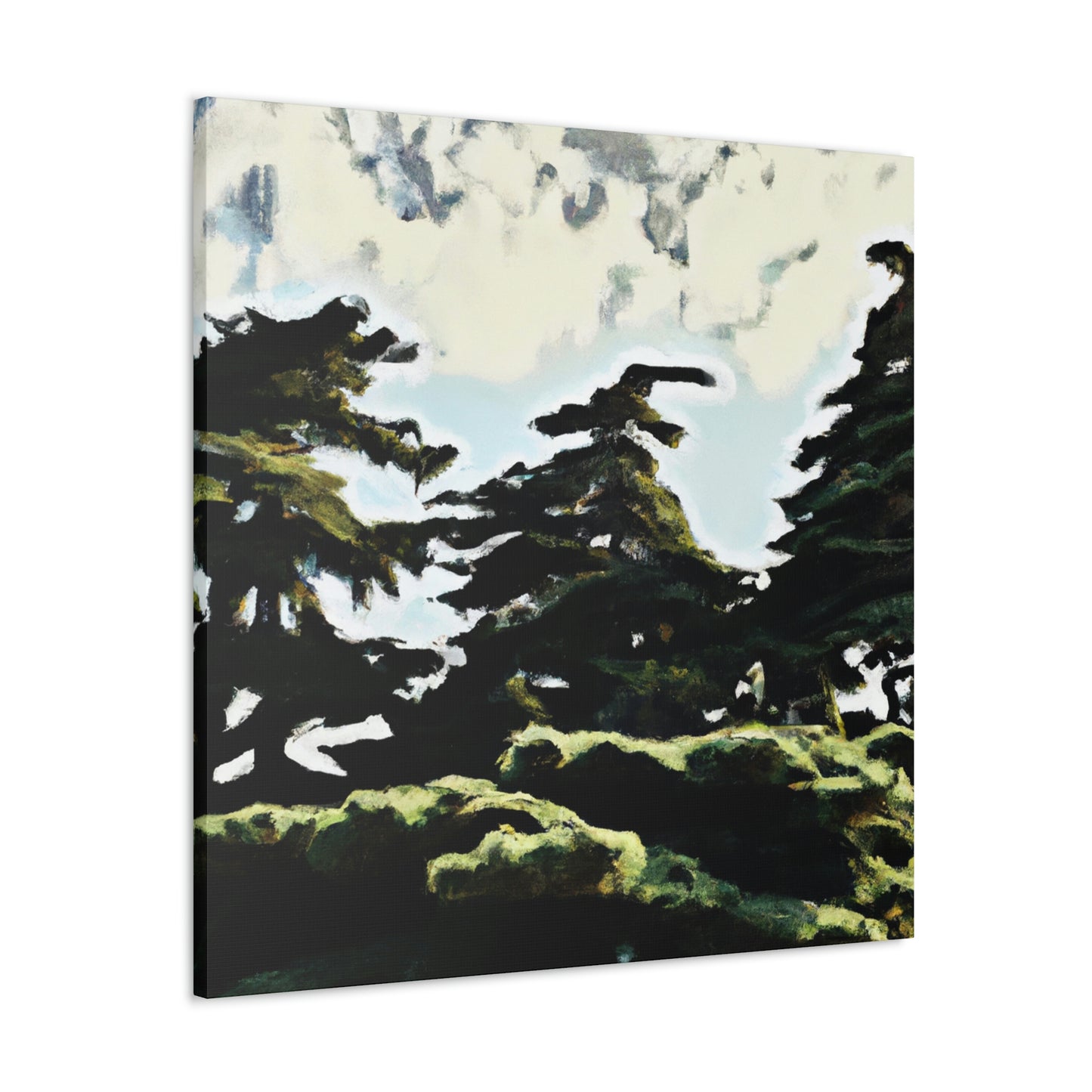 Cedar in the Moonlight - Canvas