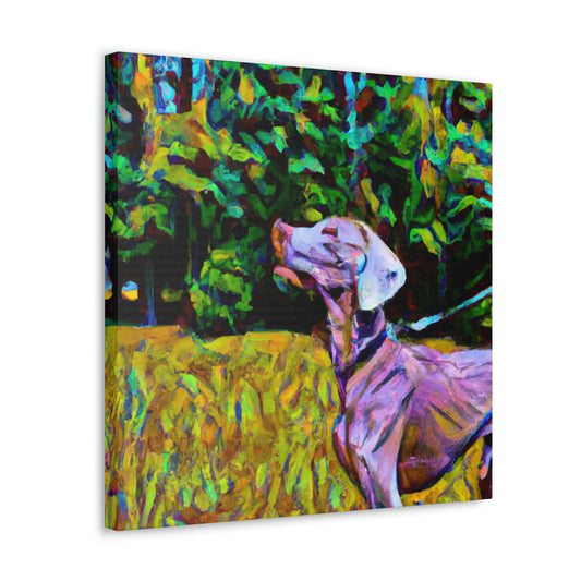 Weimaraner in Sunshine - Canvas