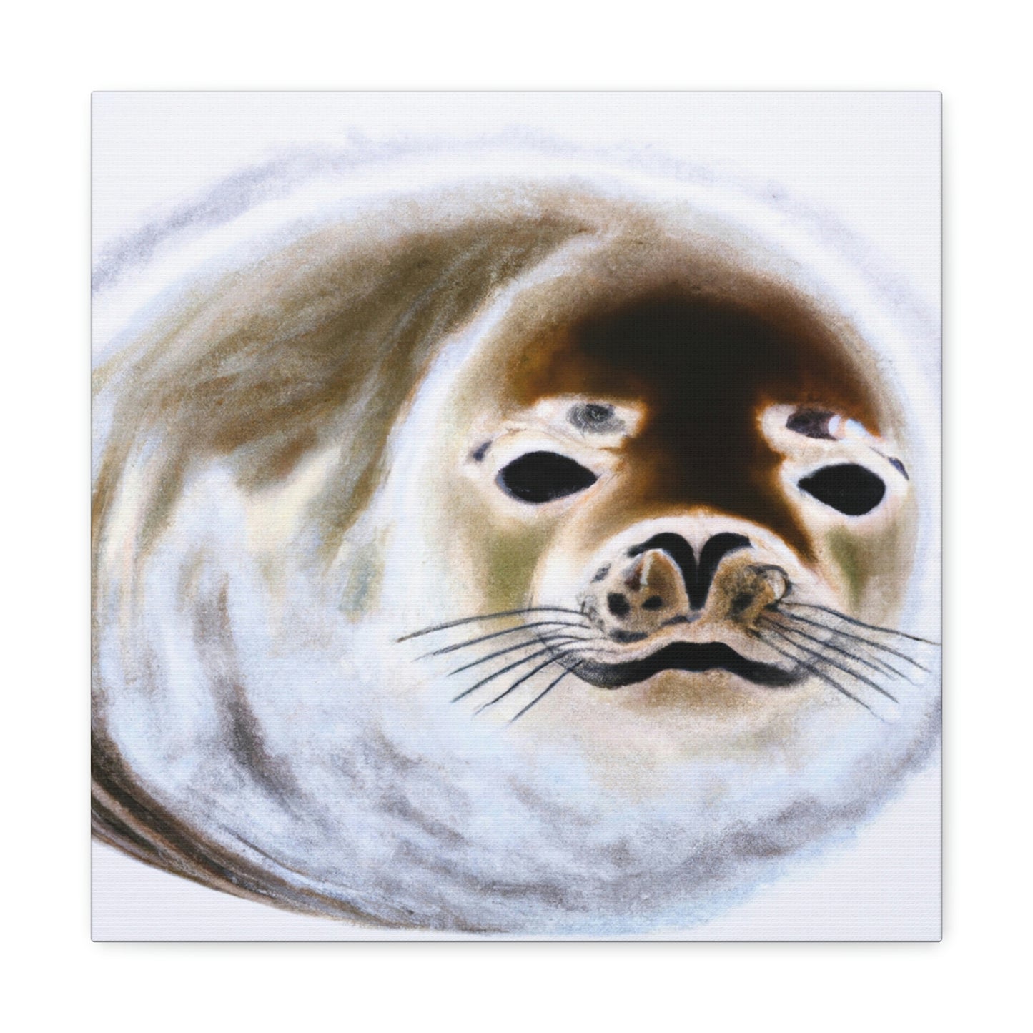 Harp Seal Slumbering - Canvas