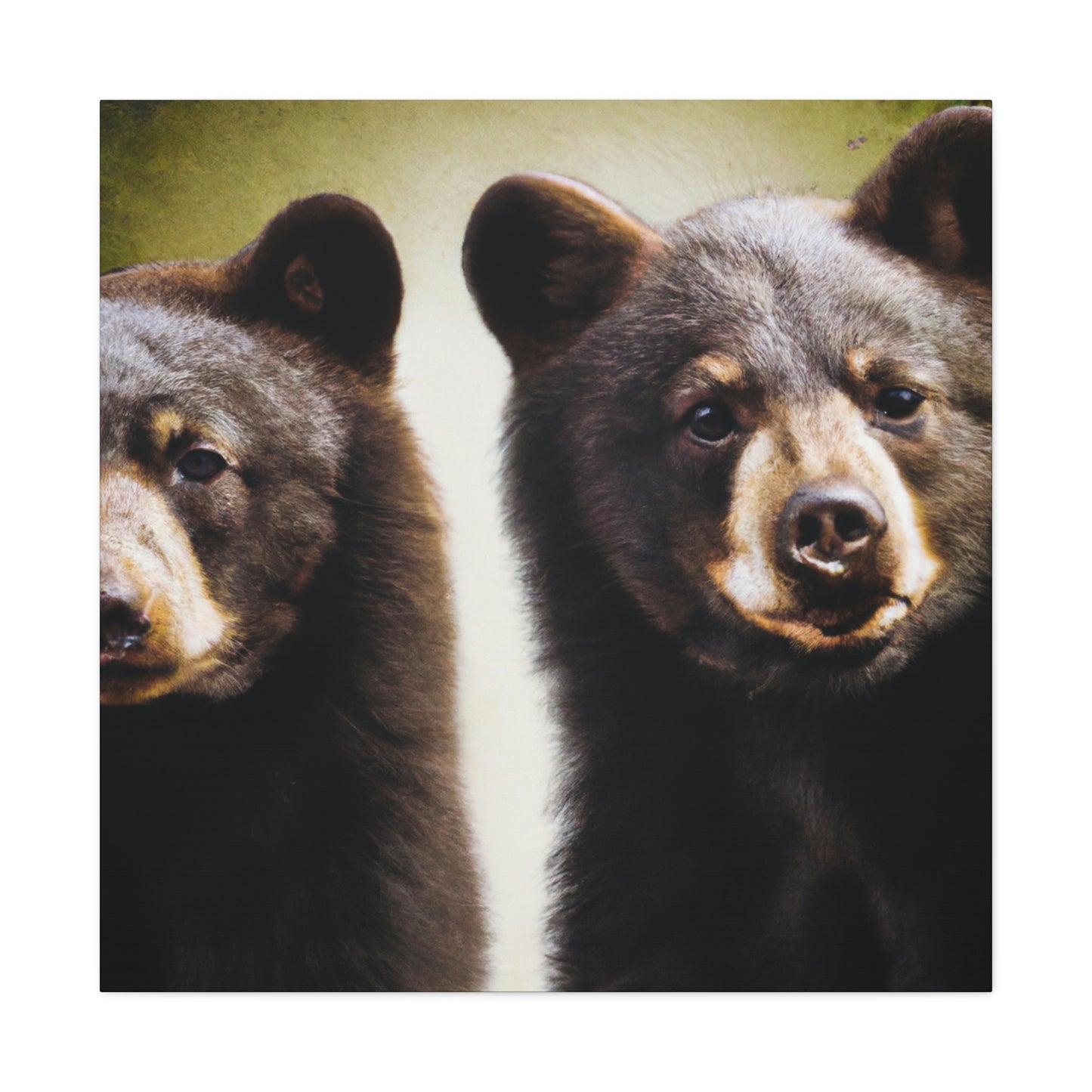 "Black Bears in Nature" - Canvas