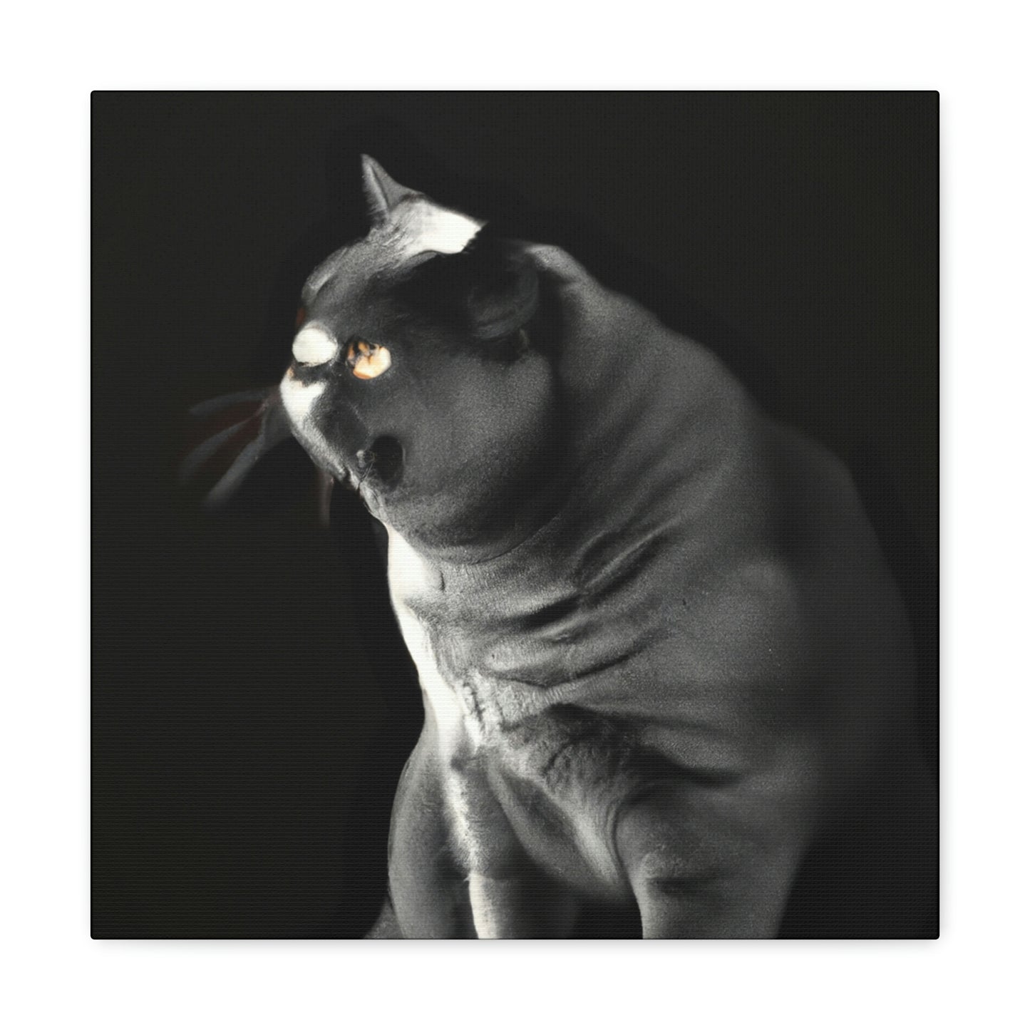 "British Shorthair Slumber" - Canvas