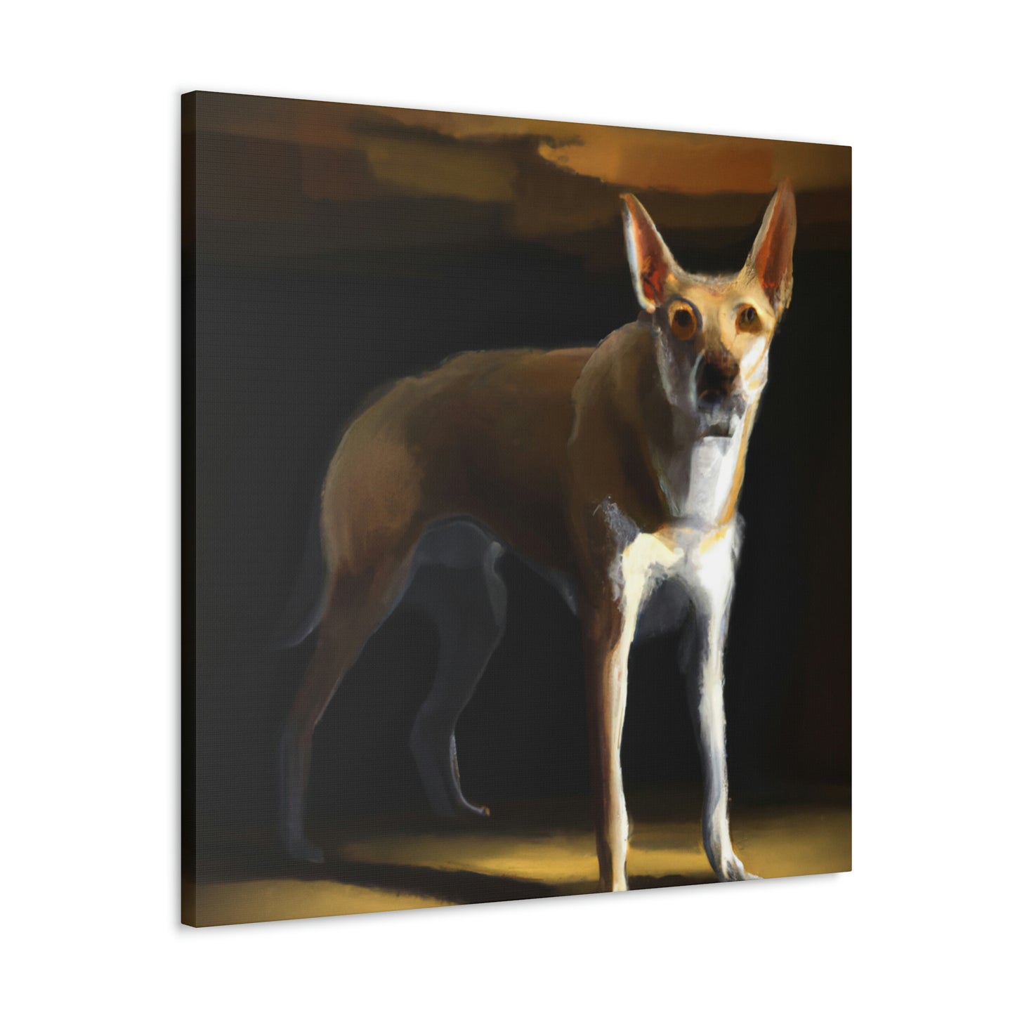 Dingo Dreams in Color - Canvas