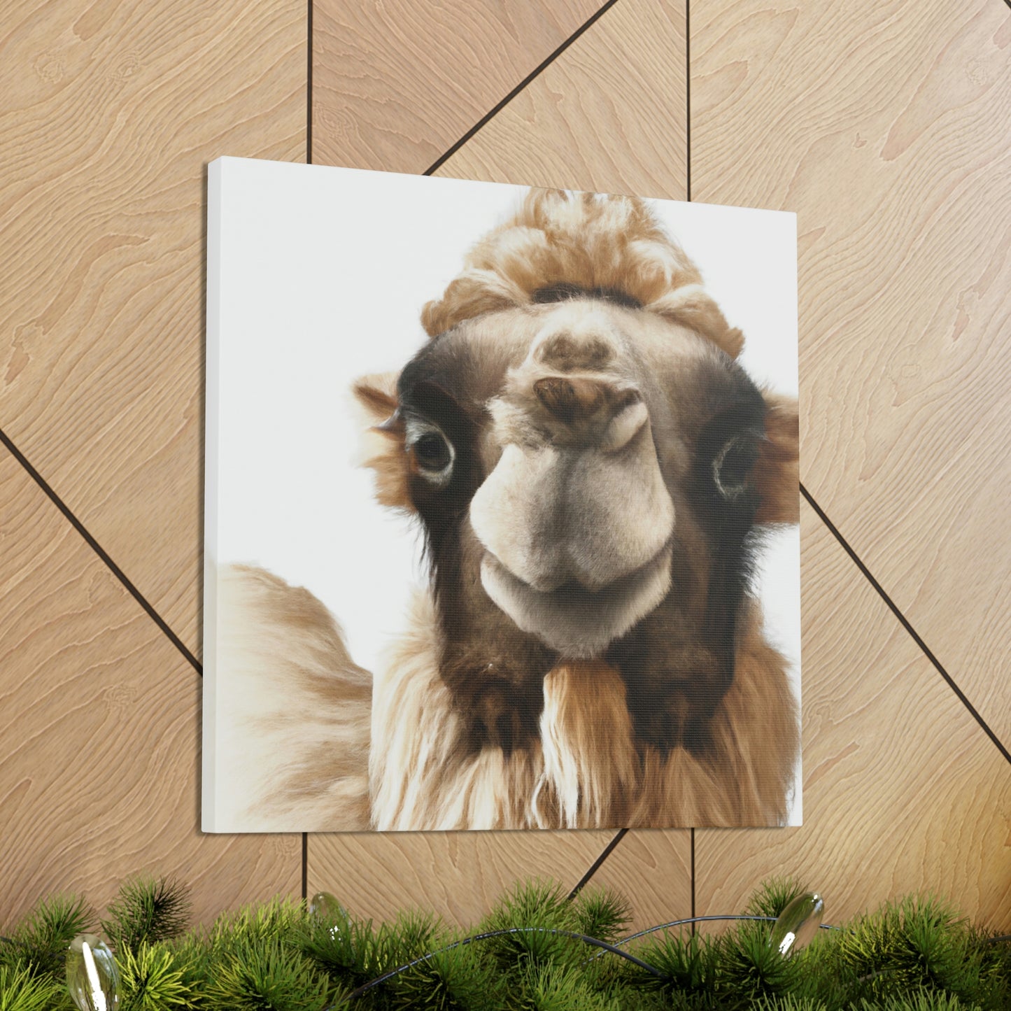 "Camel in the Desert" - Canvas