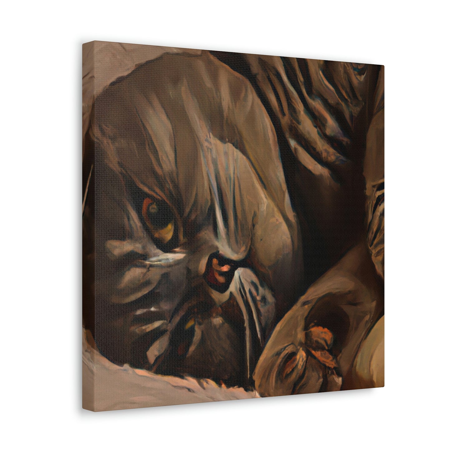 "Scottish Fold Slumbering" - Canvas