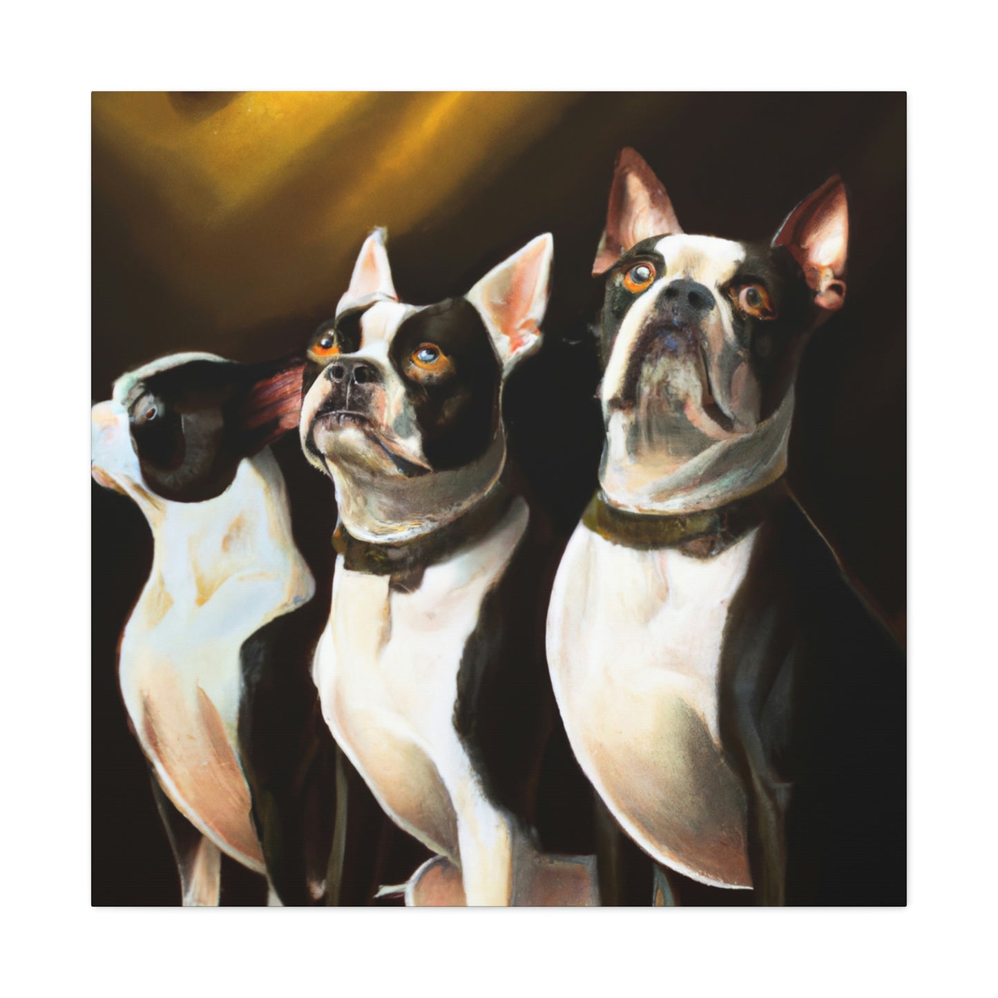 "Boston Terrier Elegance". - Canvas