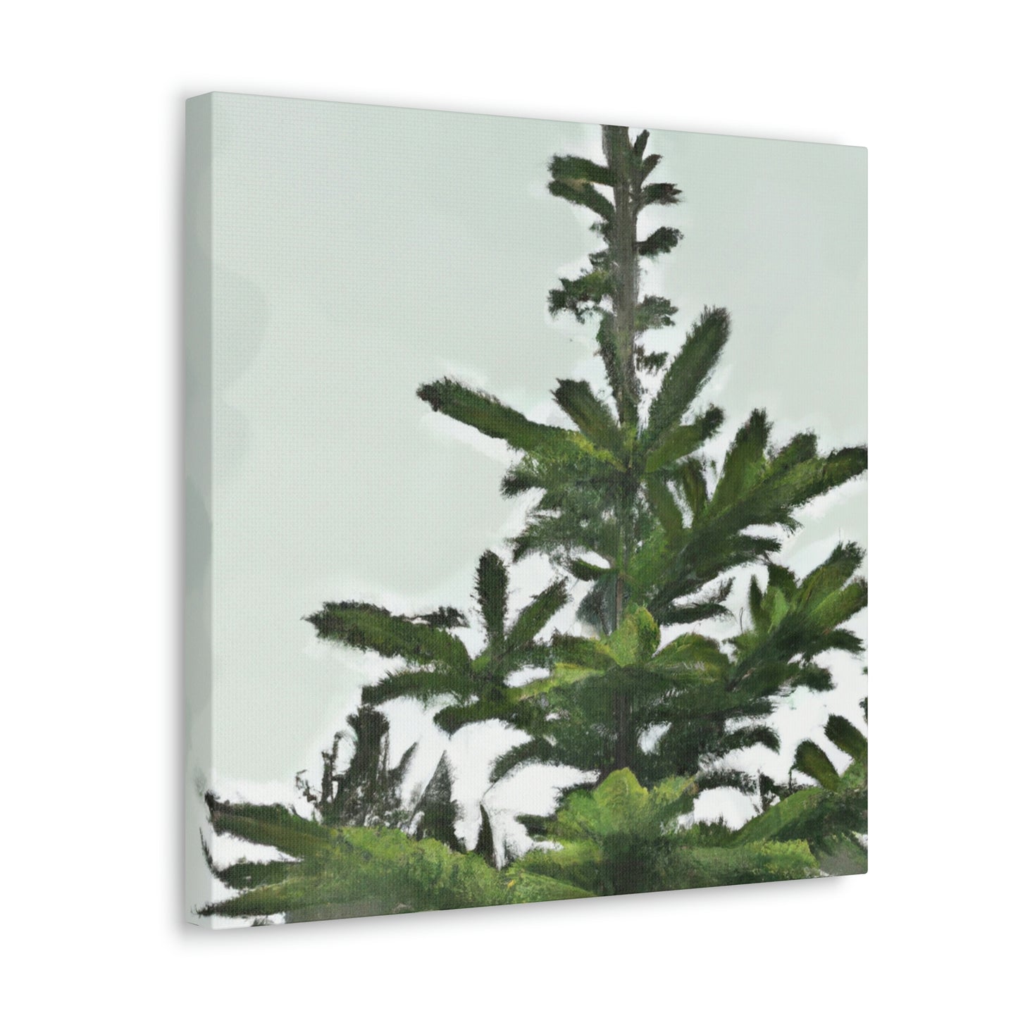 Douglas Fir Solitude. - Canvas