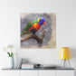 Rainbow Lorikeet Points - Canvas