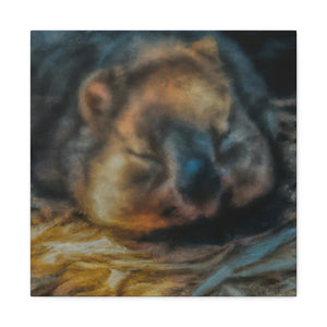 Wombat Abstract Nocturne - Canvas