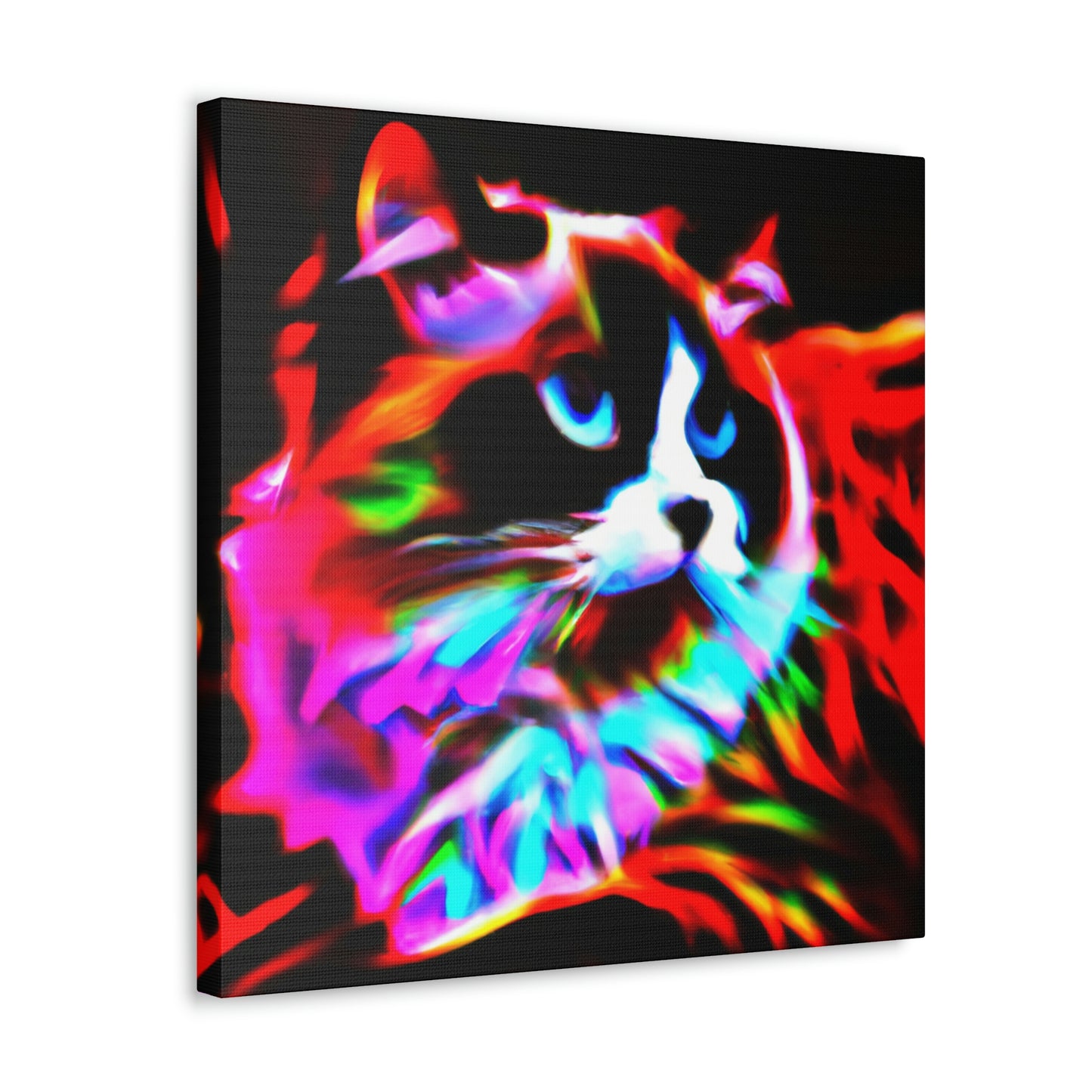 Ragdoll Pop Magic - Canvas