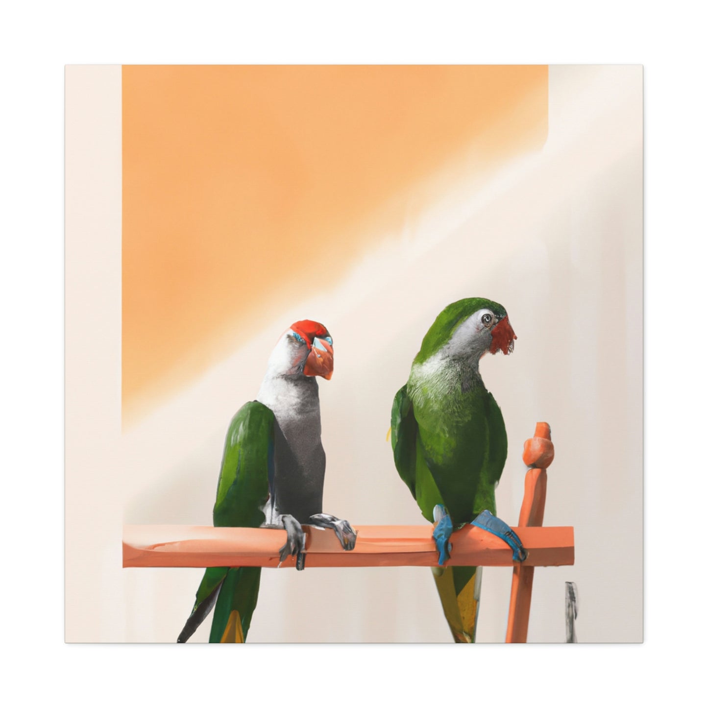 Senegal Parrot Radiance - Canvas