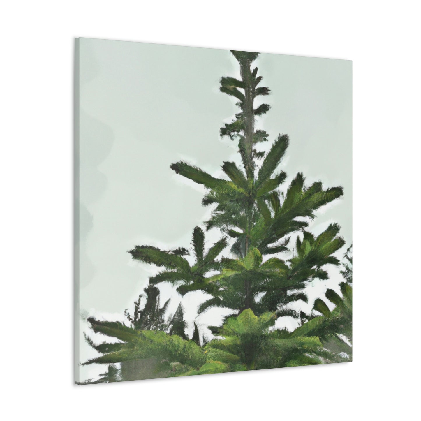 Douglas Fir Solitude. - Canvas